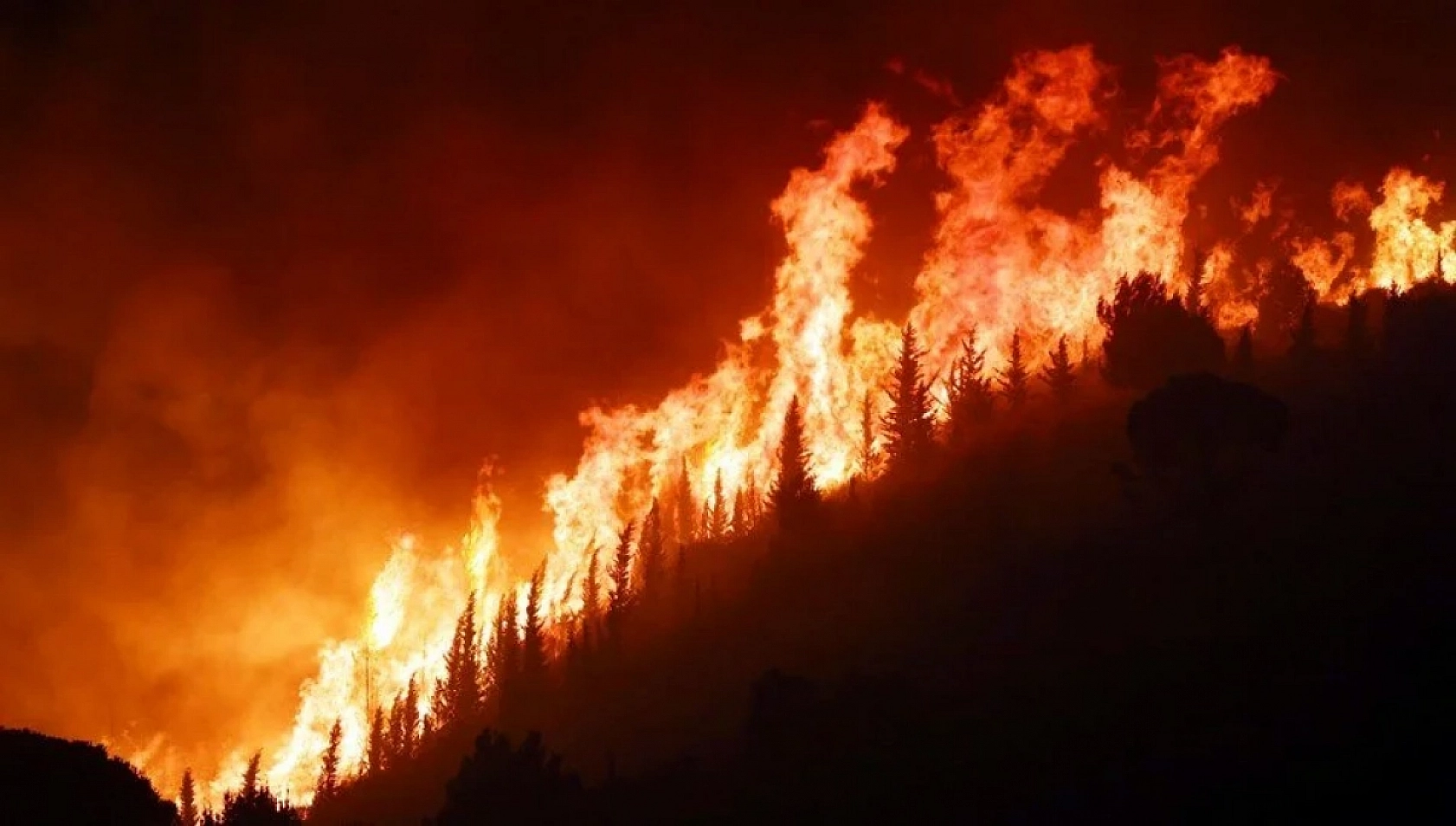 Erdoğan'dan 81 İl İçin Yeni Afet Planı: İller Tek Tek Ayrıldı... Hangi İl Nereye Bağlandı?