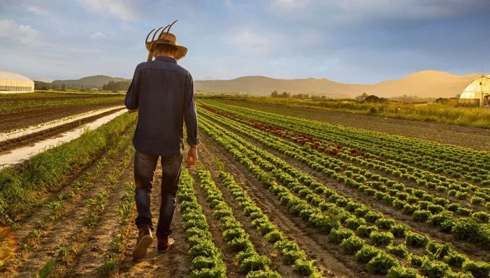 Çiftçiye Nakit Destek ve Önemli İyileştirmeler Geliyor!