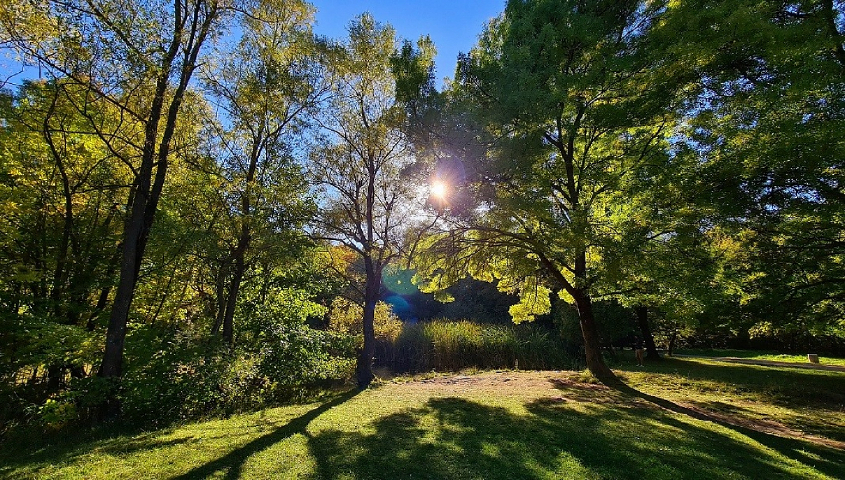 Meteoroloji açıkladı: 7 Temmuz Pazartesi hava durumu raporu... Malatya'da bugün hava nasıl olacak?