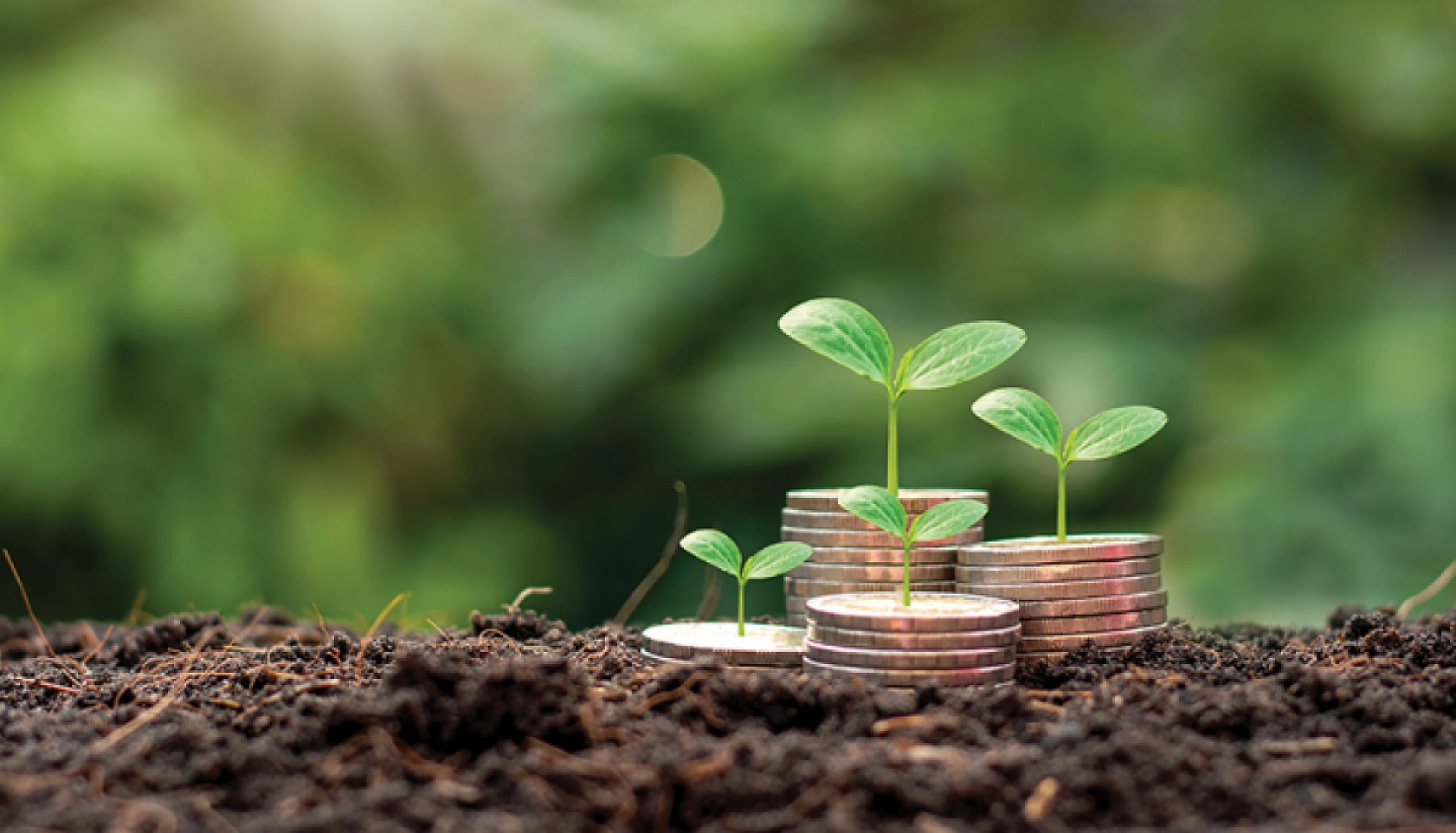 Bakanlık müjdeyi verdi! Ödemeler hesaplara yatırıldı…