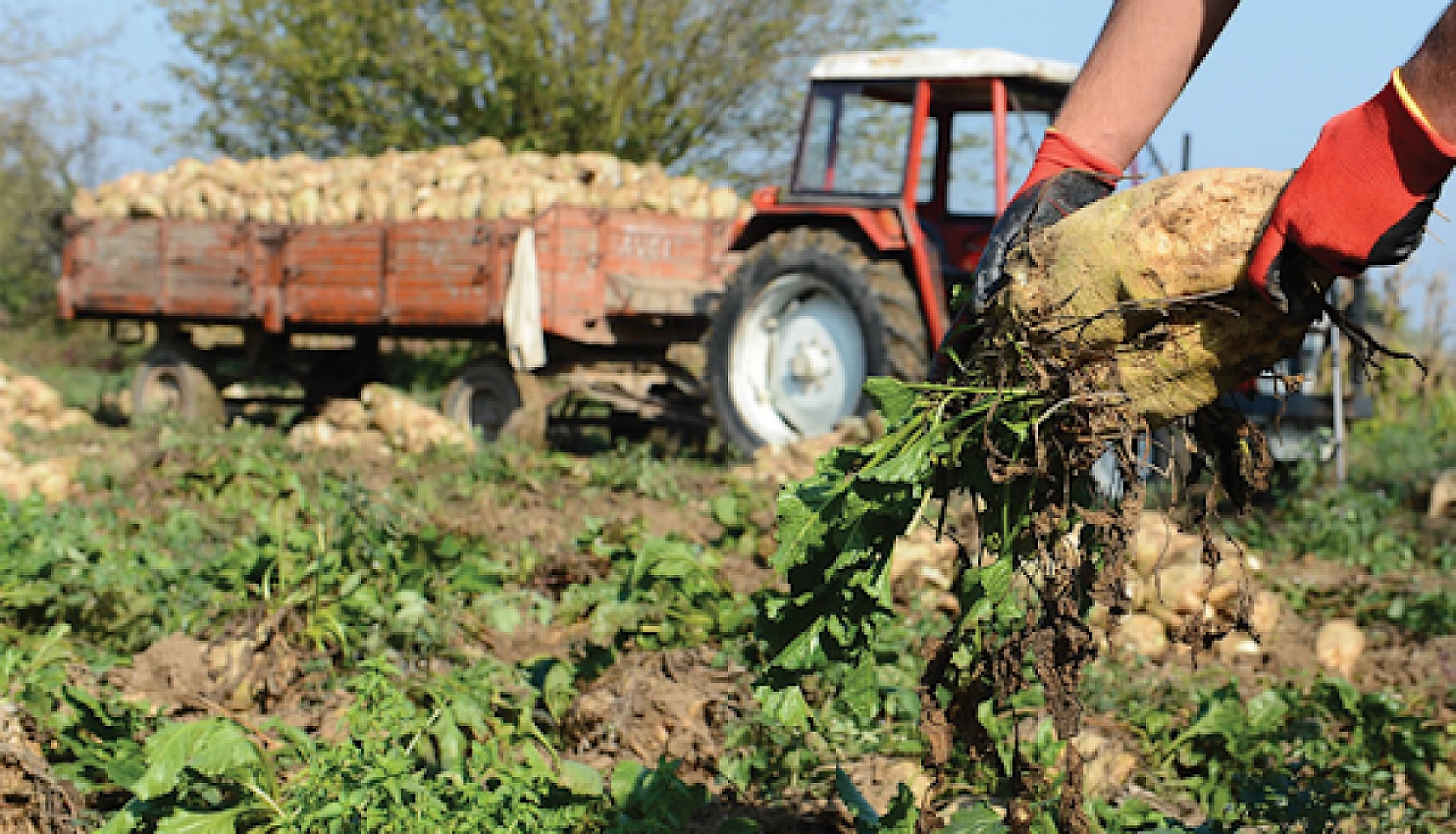 Malatyalılar müjde: Hesaplara 2 milyar 465 milyon TL'lik avans ödemeleri yattı…