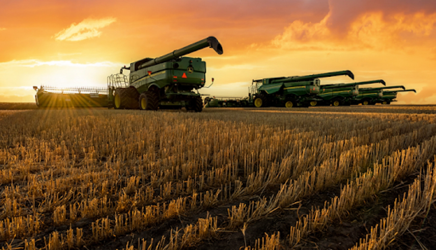 Malatyalılar hesaplarınız kontrol edin: 331 milyon TL'lik destek ödemeleri yatırıldı…