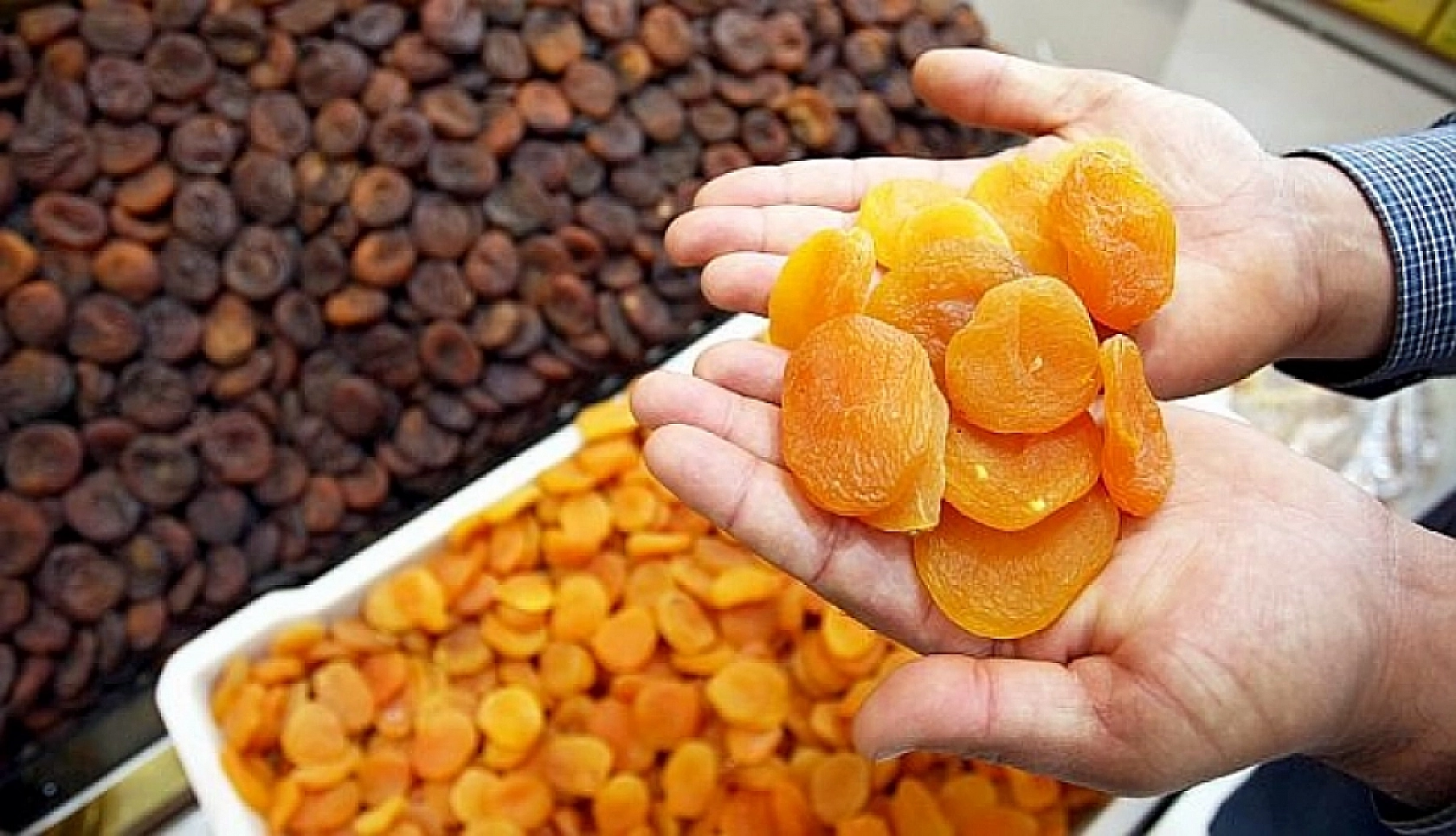 Ağbaba'dan Kayısı Alımı Açıklaması! Fiyatlar Beklentinin Altında!