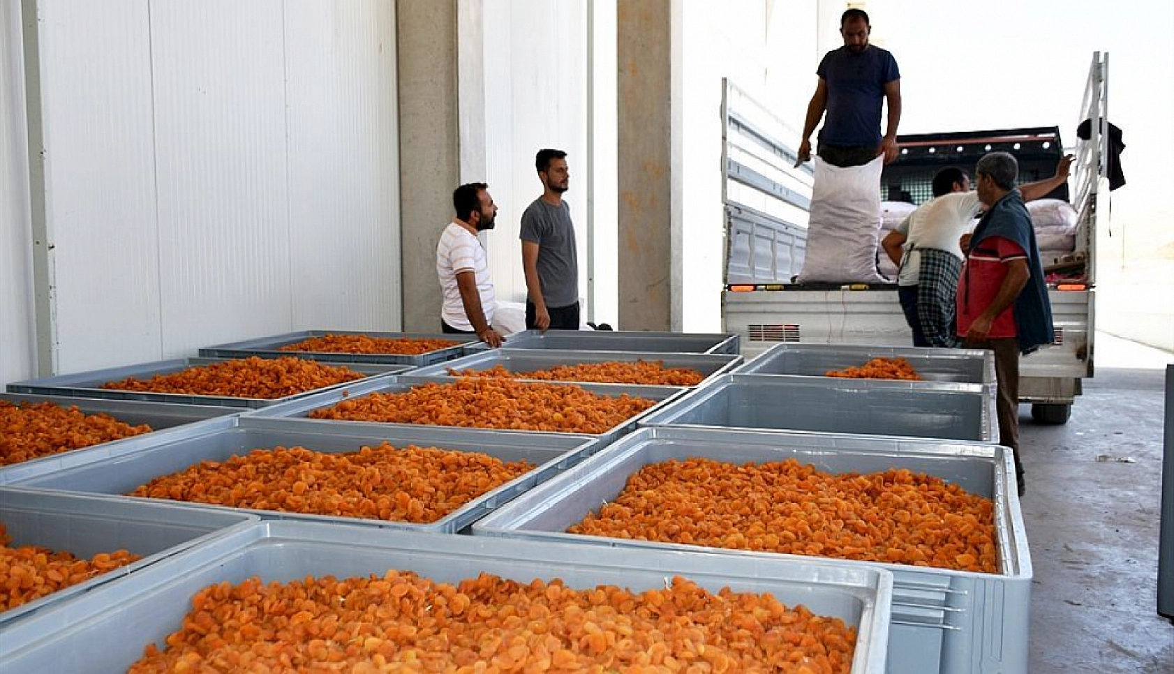 Kuru Kayısının Marketteki Fiyatı Dudak Uçuklattı!