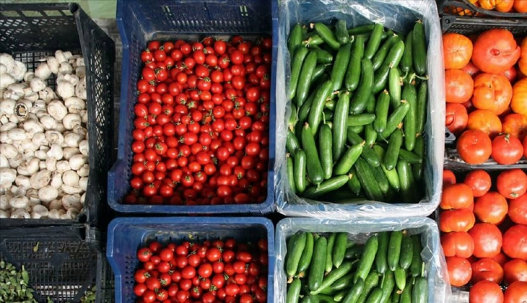 Malatya'da 5 Kasım Hal Fiyatları: Meyve-Sebze Fiyatları Ne Kadar? İşte Yanıtı…