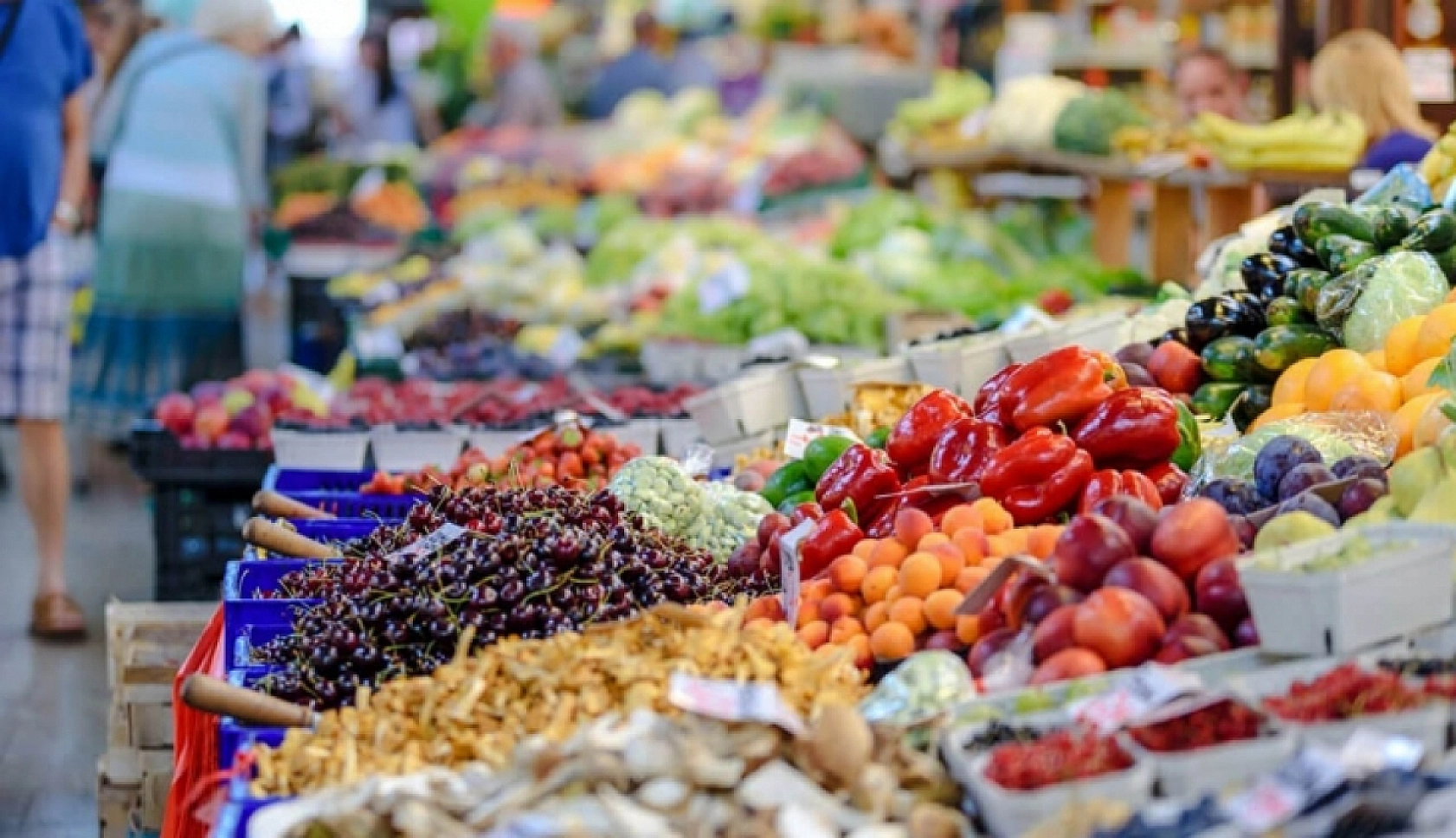 Malatya'da 24 Kasım Hal Fiyatları: Meyve ve Sebze Fiyatları Ne Kadar? İşte Güncel Fiyat Listesi…