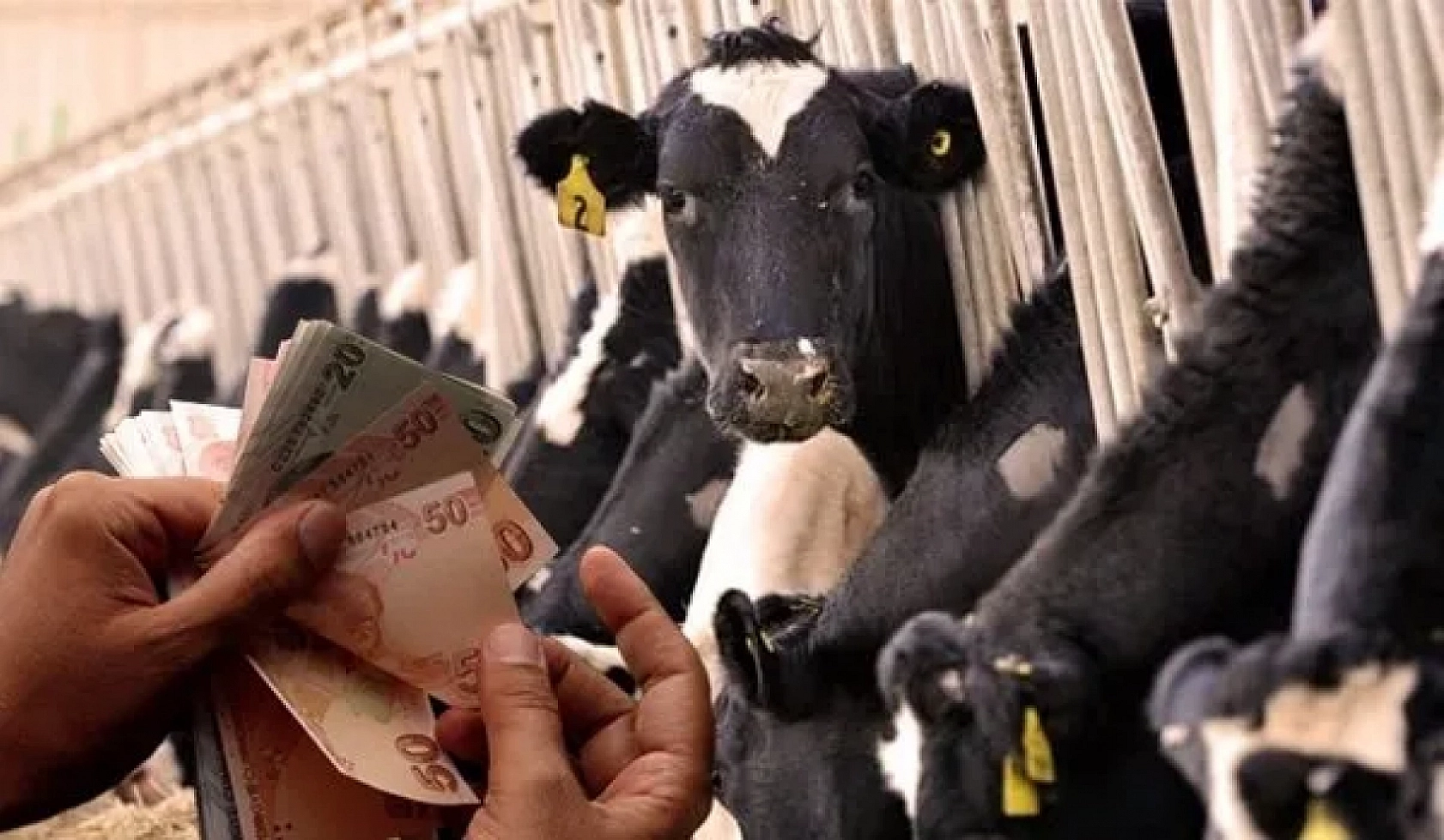 Resmi Gazete'de Yayımlandı: Üreticiye Destek Müjdesi!