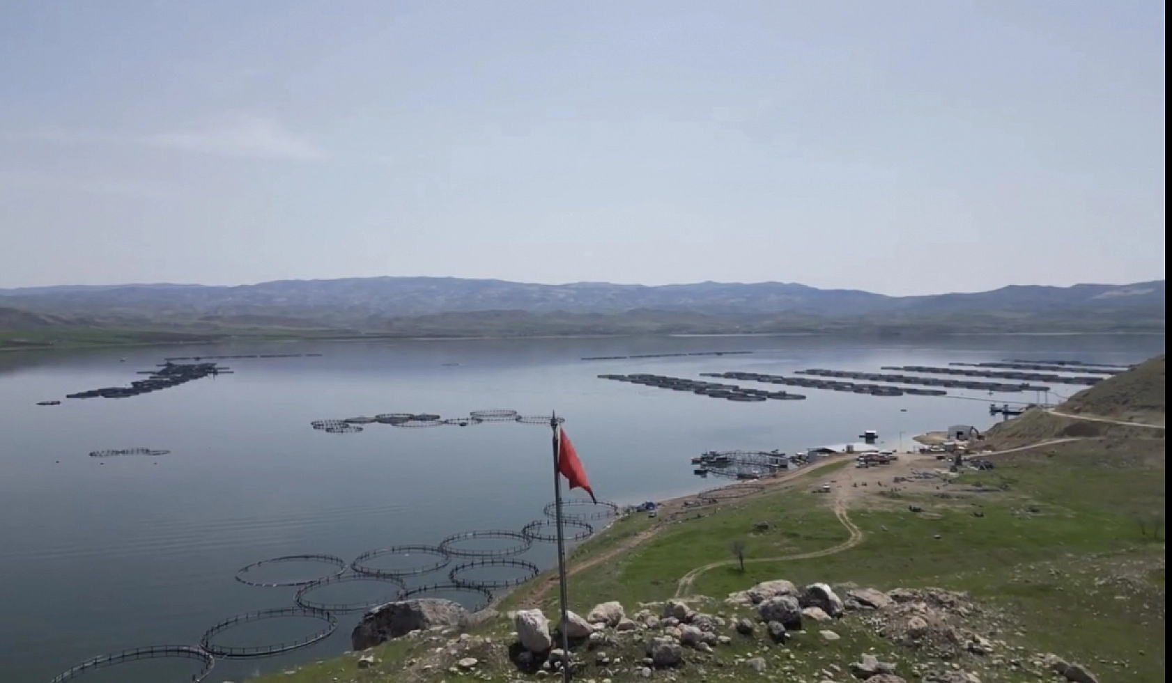 Malatya su ürünlerinde üretim üssü oldu! Yıllık 7 bin 500 ton üretim