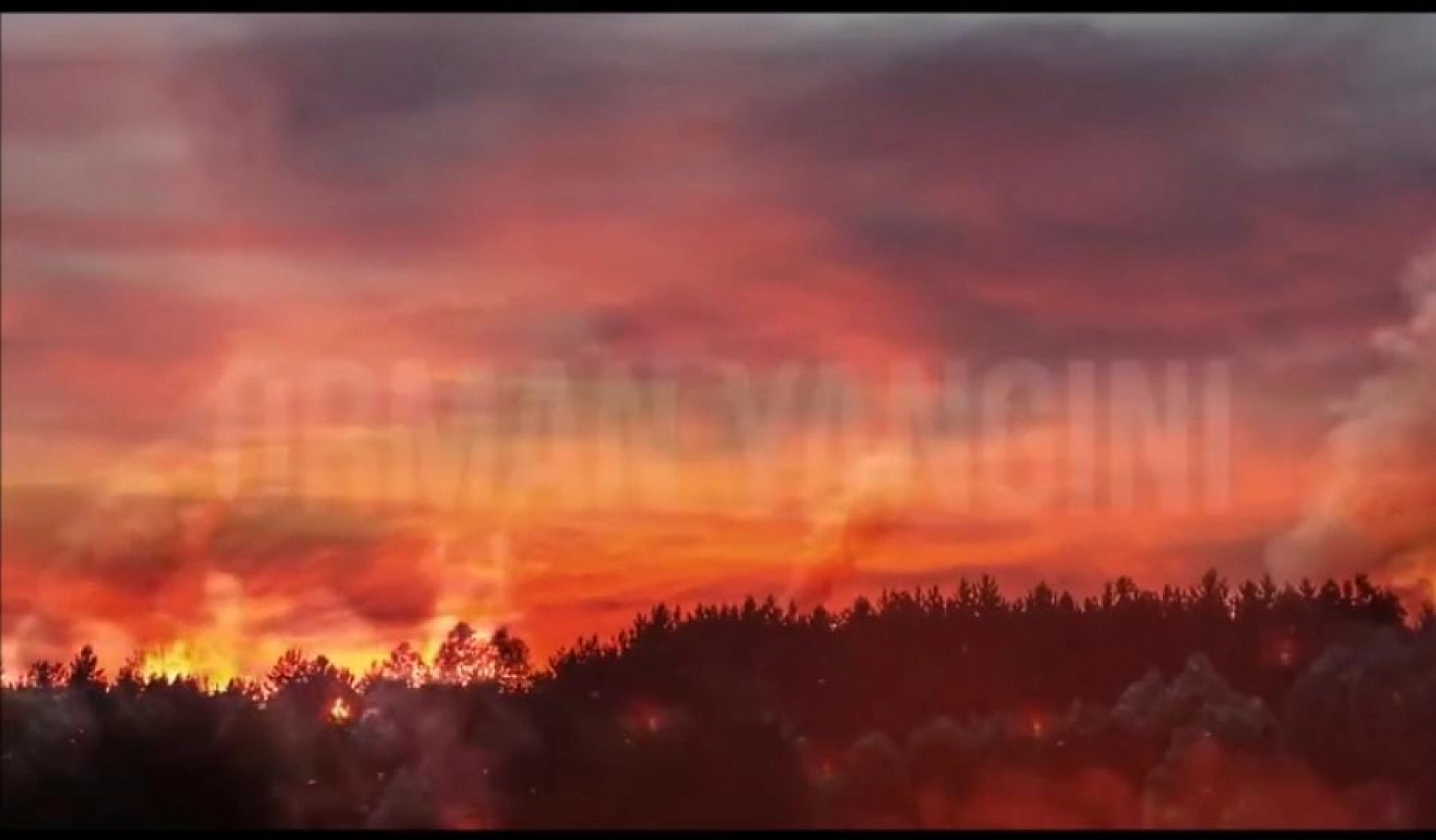 Doğanşehir Kaymakamlığı Yasakladı!