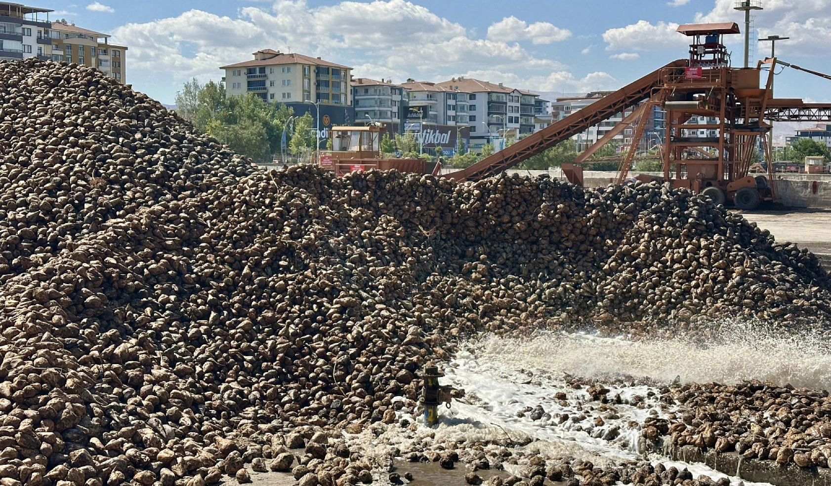 Kayısından yüzü gülmeyen üreticinin imdadına yetişti: Malatya için büyük nimet!