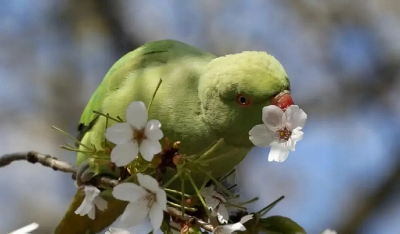 Malatya'da hava sıcaklığı 24 dereceye kadar yükselecek!