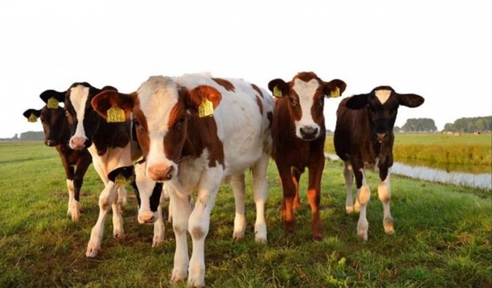 Malatya Valisi Destekleri Açıkladı! İşte Malatya'ya Deprem Sonrası Yapılan Destekler…