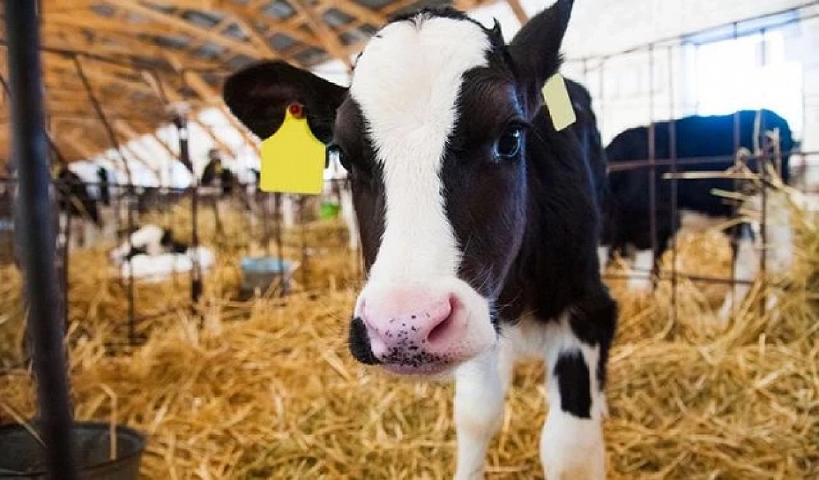 Malatya Valisi Destekleri Açıkladı! İşte Malatya'ya Deprem Sonrası Yapılan Destekler…