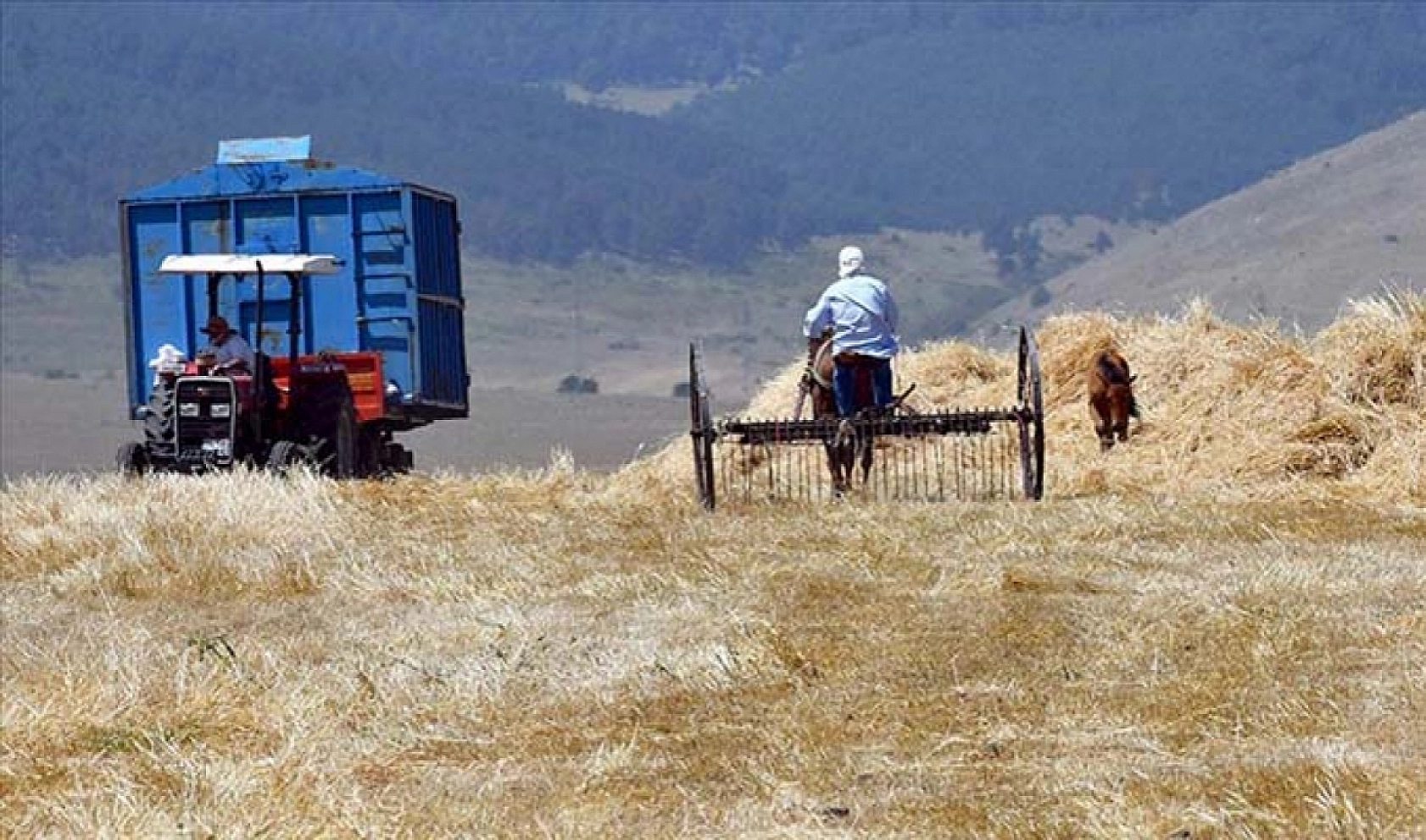 Malatyalılar, hesaplarınızı kontrol edin! Destek ödemeleri yatıyor…