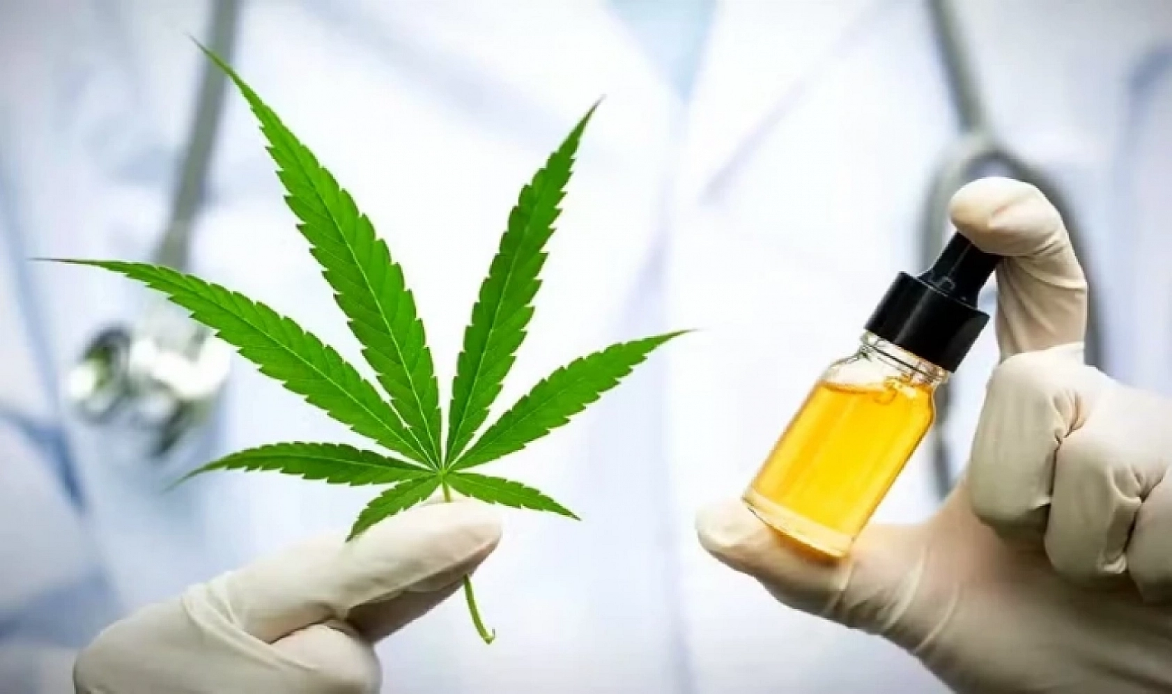 Resmi Gazete'de yayımlandı: Malatya'da da kenevir yetiştirilecek…