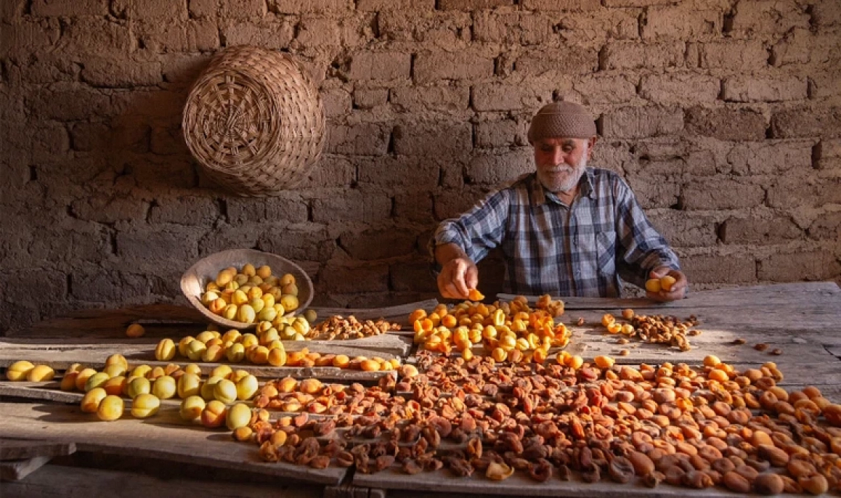 Malatya Kayısısında Hem Değer Hem İhracat Düştü…!