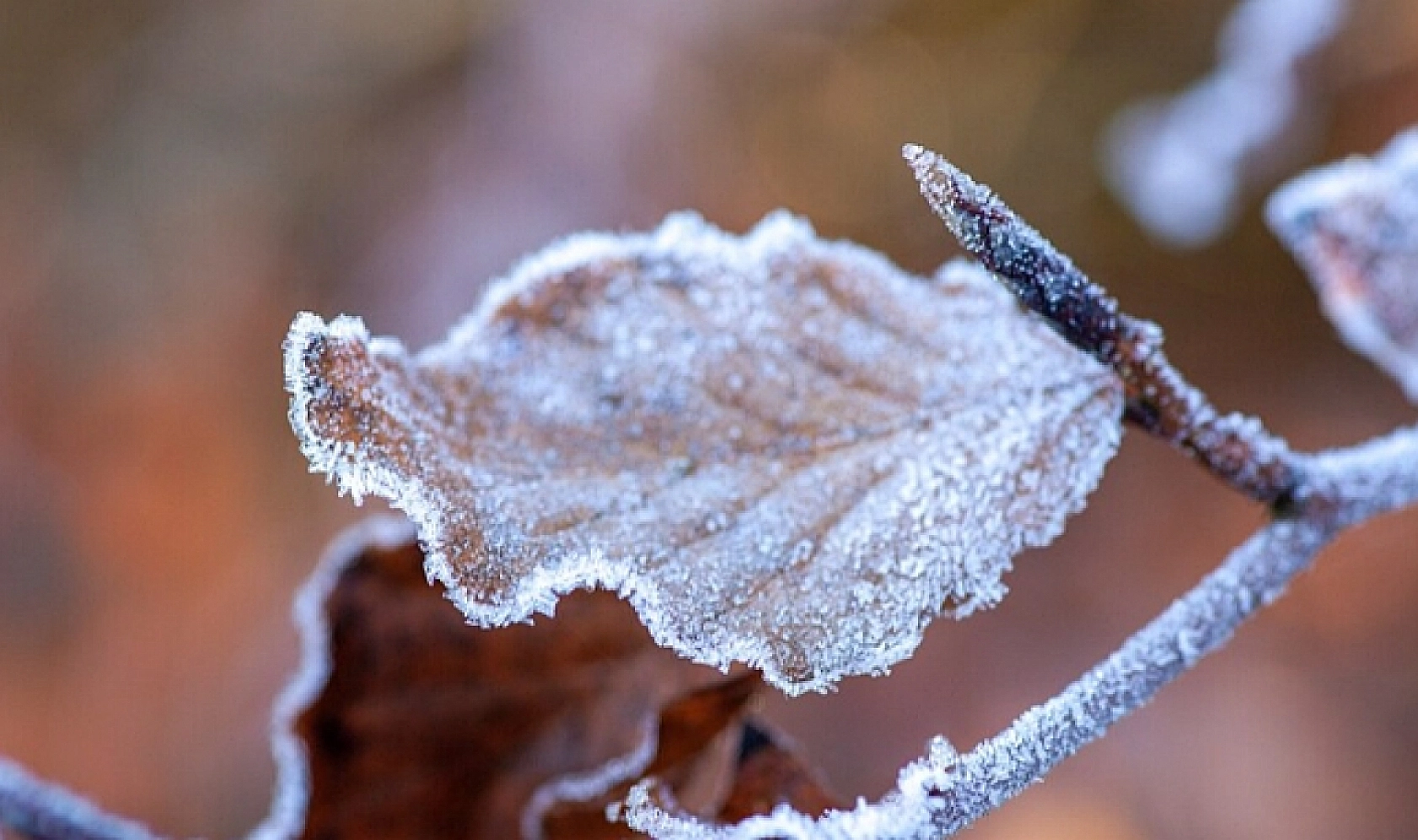 Malatyalılar Dikkat! Meteoroloji Çığ Tehlikesi ve Buzlanmaya Karşı Uyardı…