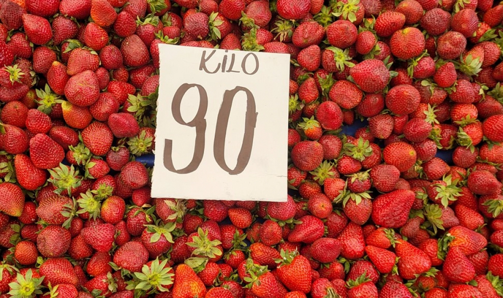 Geçen hafta yanına yaklaşılmıyordu: Pazardaki fiyatı 200 liradan 40 liraya düştü!