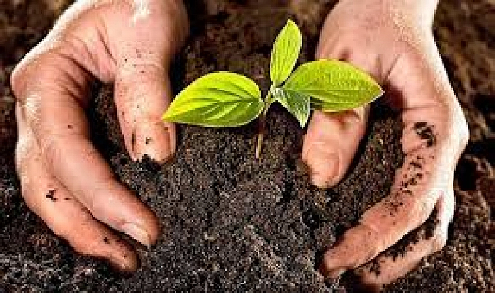 Malatya'da Tarımda Yeni Dönem! Yüzde 100 Mazot Desteği Geliyor!