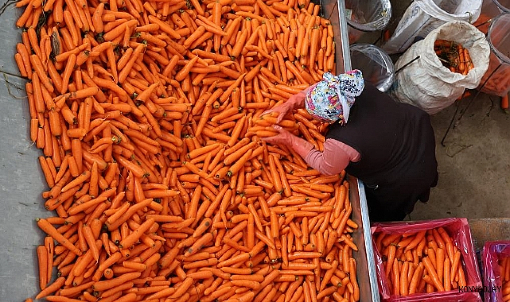 Malatya Hal Pazarı fiyatları açıklandı: Zamlar etiketlere yansıdı mı?