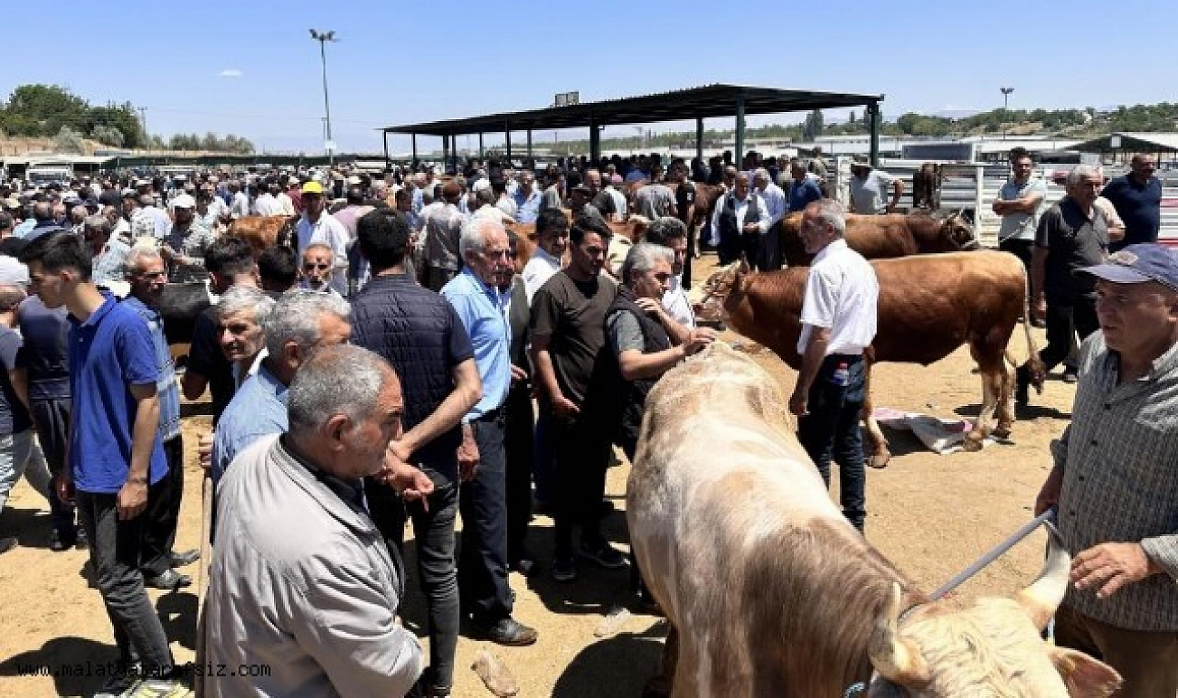 Satılamayanları ESK Alacak, Ödemeler 3 Günde Tamamlanacak!