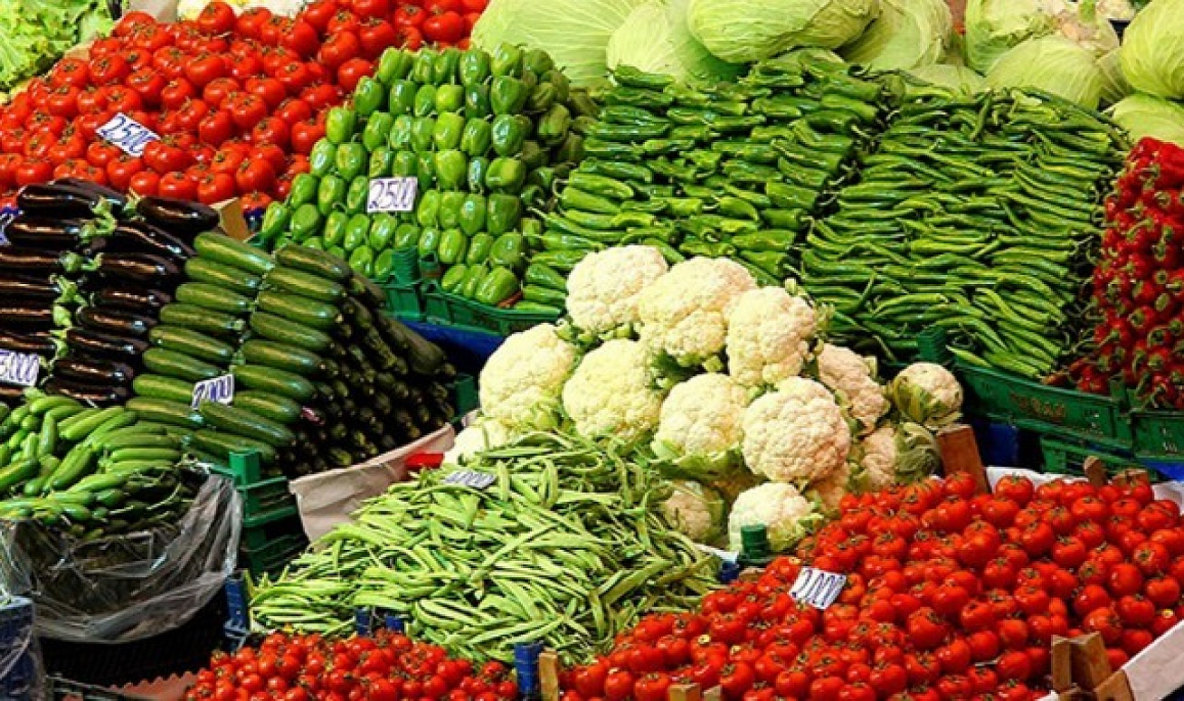 Malatya'da 24 Kasım Hal Fiyatları: Meyve ve Sebze Fiyatları Ne Kadar? İşte Güncel Fiyat Listesi…