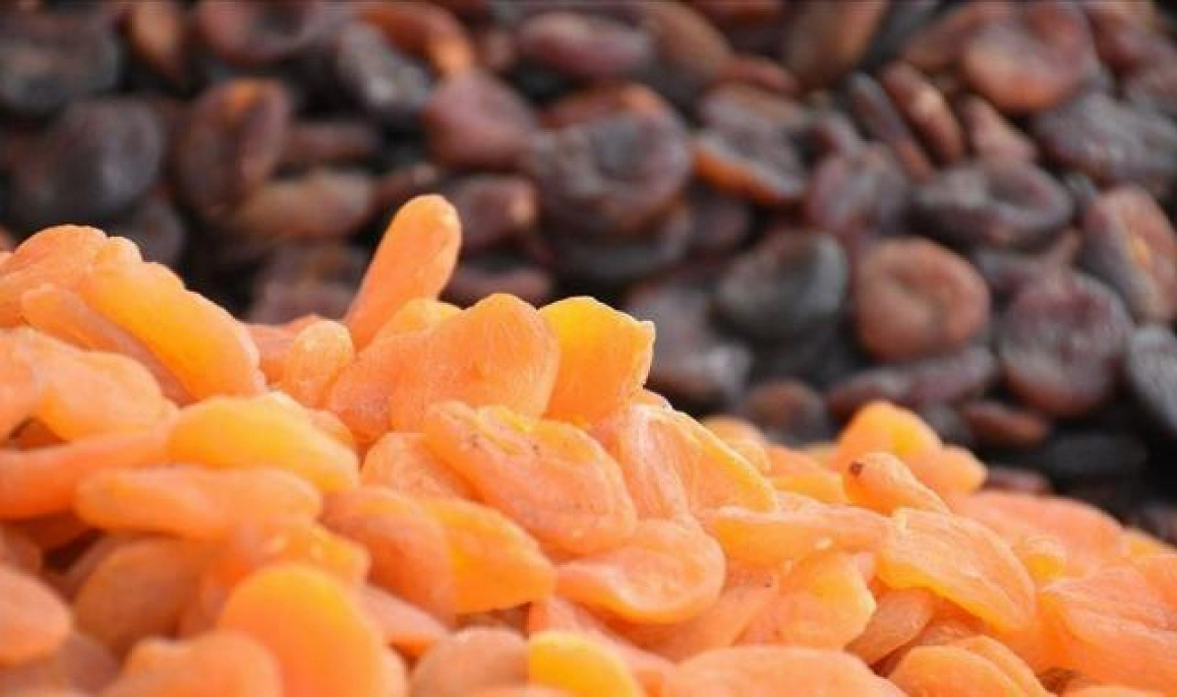 Malatya'nın Altın Çekirdeği: Tam Bir Şifa Kaynağı! Malatya Kayısısının Sizi Şaşırtacak Faydaları…