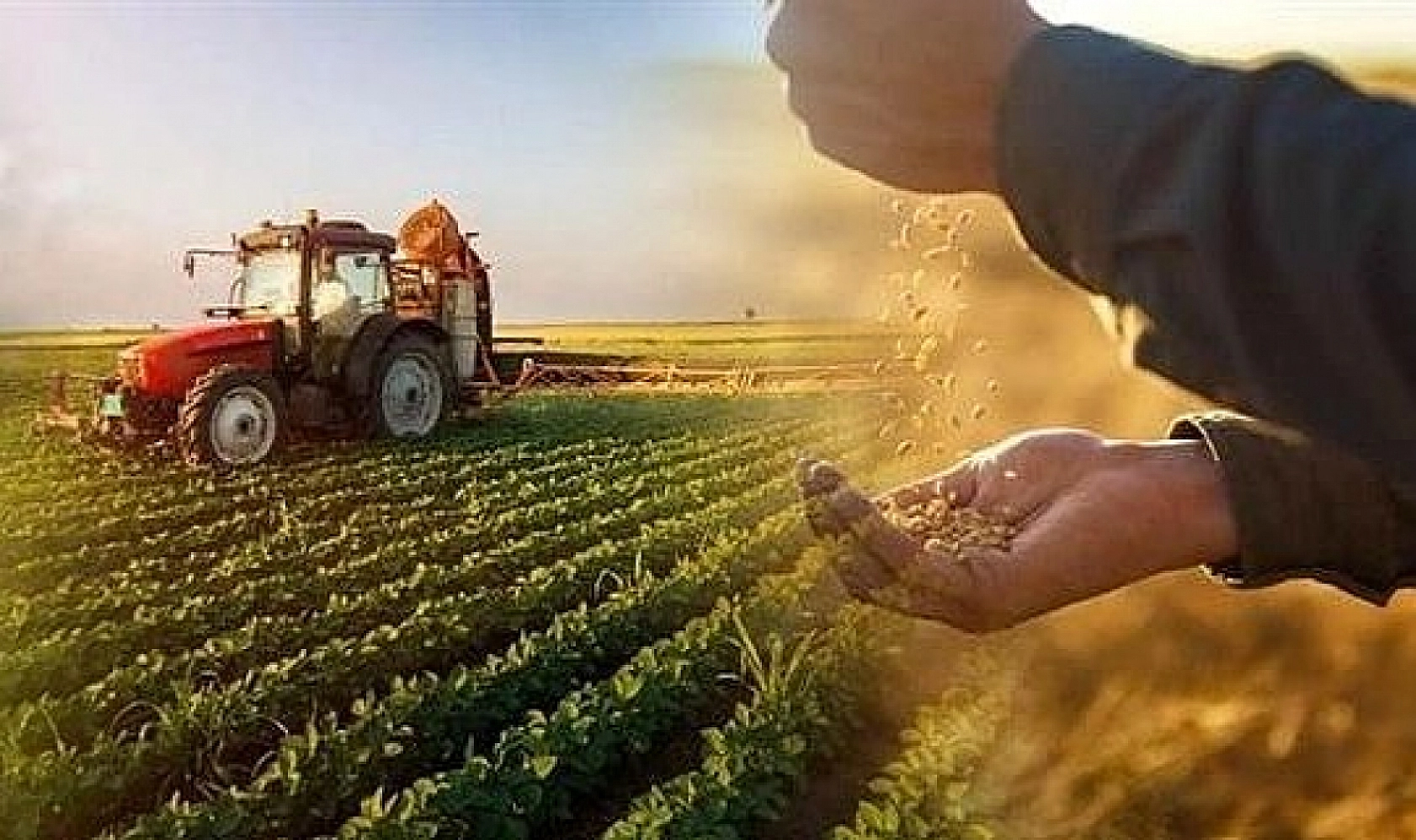 Malatya Çiftçisine Destek Yağmuru: Limitler Yükseldi…