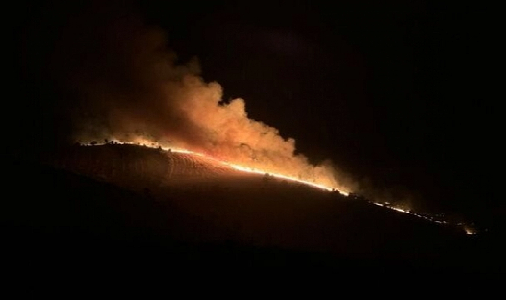 Doğanşehir Kaymakamlığı Yasakladı!