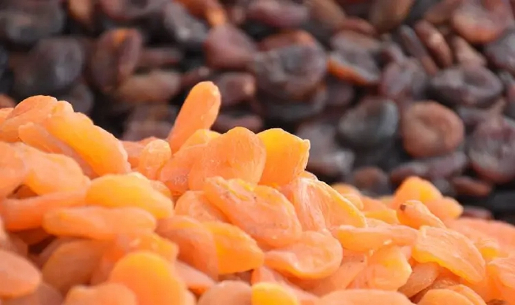 Kuru Kayısı Fiyatı Şaşırttı: Bu Defa Marketler Değil Üretici Kazandı!