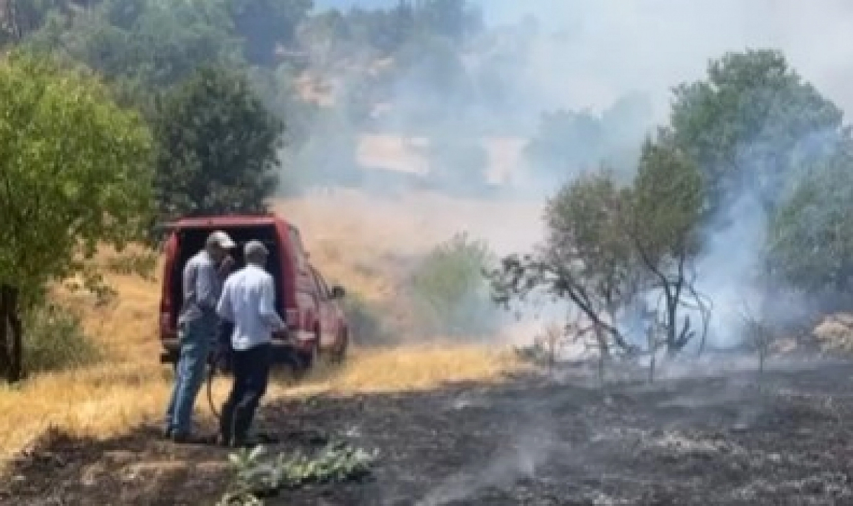 Malatya'da Orman Yangını: Hayvanlar Tahliye Ediliyor