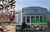 Malatya'da zirai don kayısı üreticisini vurdu: MTSO'dan TARSİM'e adil olun çağrısı…!