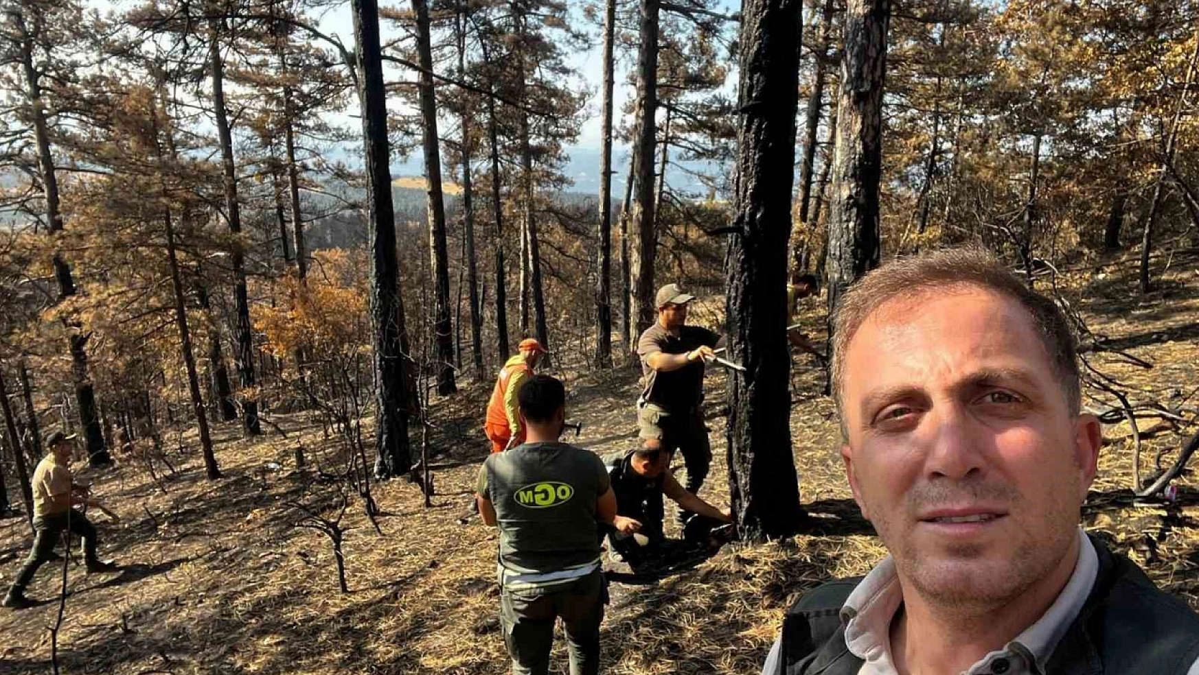 Yanan ormanlık alanlar tekrar hayata dönüyor