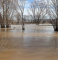 10 bin dönüm ekili tarım arazisi su altında kaldı