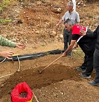 10 üreticiye 90 kilogram salep yumrusu dağıtıldı