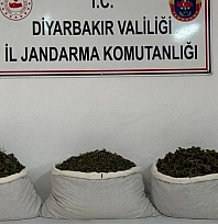 107 kilo esrar maddesi ele geçirildi