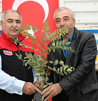 13 üreticiye 7 bin 311 sumak fidesi dağıtıldı