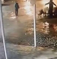 19 koyun çalındı: Hırsızlık anı kameralara yansıdı