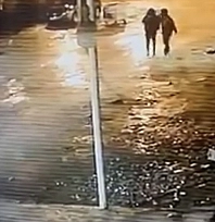 19 koyun çalınma anı kameralara yansıdı