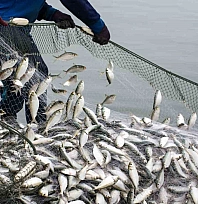 2 milyar dolarlık rekor ihracat