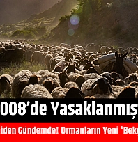 2008'de yasaklanmıştı: Malatya'da Yeniden Gündemde! Ormanların Yeni 'Bekçileri' Olabilir