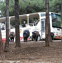 2025'te ziyaretçi rekoru kırdı