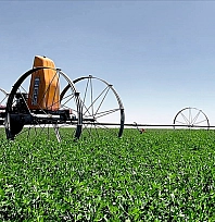 2026'da kırsal kalkınma hareketi! Aile işletmelerine yeni teşvikler yolda...