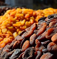 2026'da Malatya'da başlayacak! Kayısıyı değerli hale getirecek adım geliyor!