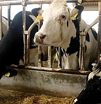 2026'nın ilk duyurusu üretim değil, ithalat oldu!