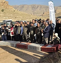 300 keklik doğaya salındı
