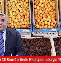 42 Bin İstihdam 30 Bine Geriledi: Malatya'nın Kaybı 120 Milyon Dolar
