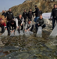 420 bin yavru balık bırakıldı