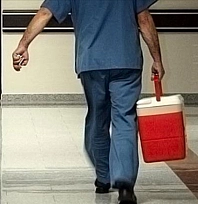 45 yaşındaki kadının karaciğeri Malatya'daki hastaya umut oldu