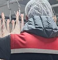 494 işletmeye denetim yapıldı